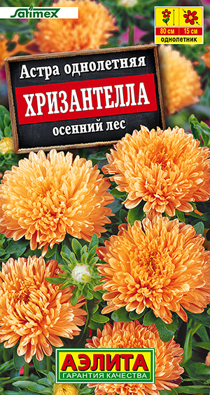 ����� ����������� ������� ���