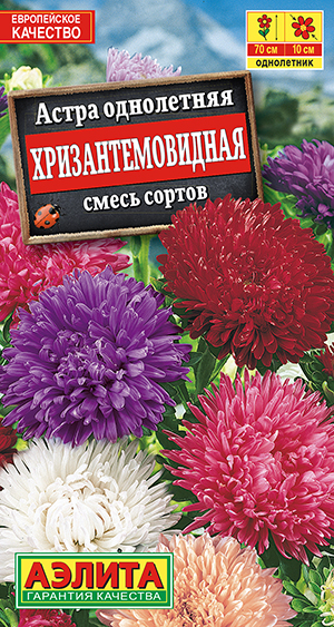 Астра Хризантемовидная, смесь окрасок Астра Хризантемовидная, смесь окрасок