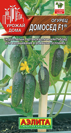 Огурец Домосед F1 ® Огурец Домосед F1 ®