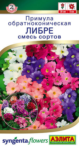Примула Либре, смесь сортов Примула Либре, смесь сортов