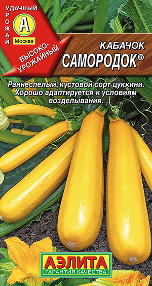 ������� ������� ���������