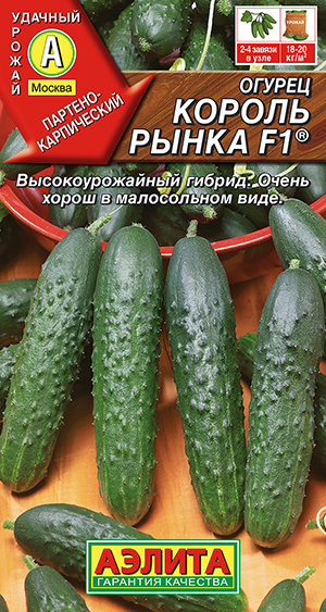 Огурец Король рынка F1 ® Огурец Король рынка F1 ®