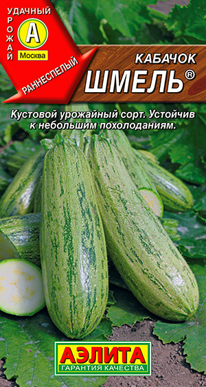 Кабачок цуккини Шмель ® Кабачок цуккини Шмель ®
