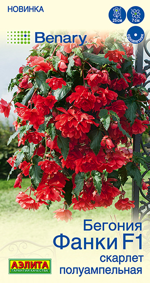 Бегония Фанки F1 скарлет полуампельная Бегония Фанки F1 скарлет полуампельная