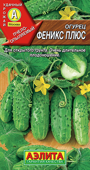 ������ ������ ����