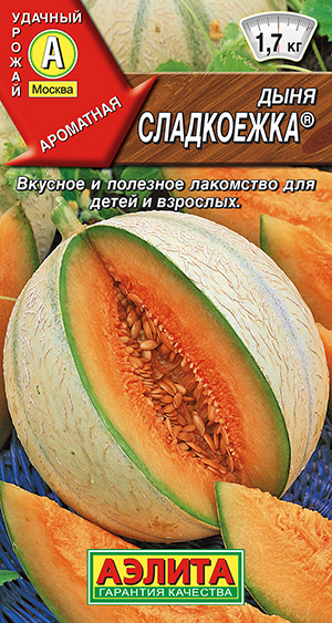 ���� ����������