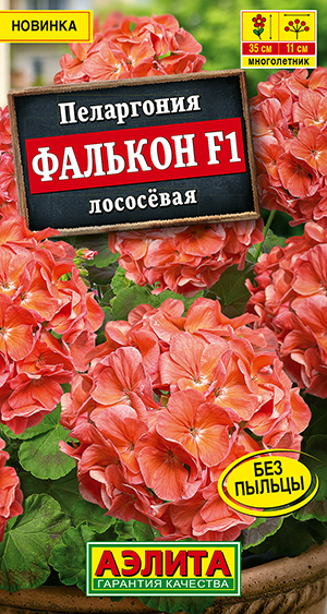 Пеларгония садовая Фалькон F1 лососёвая Пеларгония садовая Фалькон F1 лососёвая