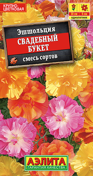 ��������� ��������� �����, ����� ������