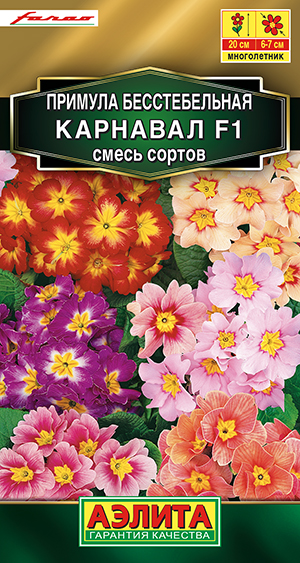 ������� �������� F1, ����� ������