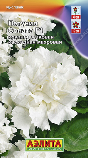   F1  (  ) - 