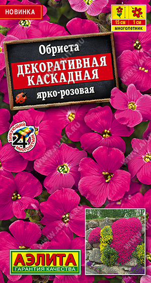 ������� ������������ ��������� ����-������� - ����