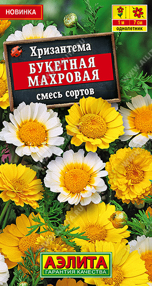 Хризантема Букетная махровая, смесь сортов - фото Хризантема Букетная махровая, смесь сортов - фото