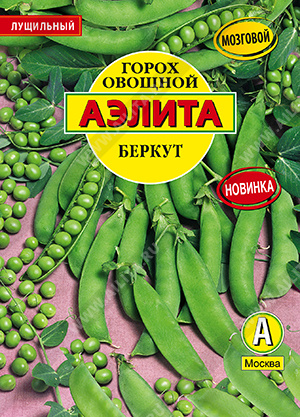 Горох овощной Беркут (обработанные семена) - фото