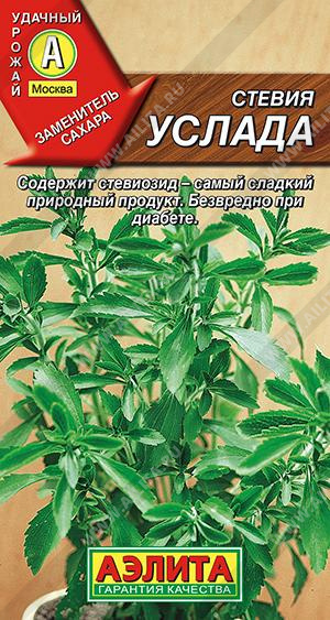 ������ ������ - ����