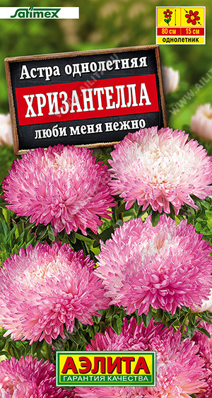 ����� ����������� ���� ���� ����� - ����