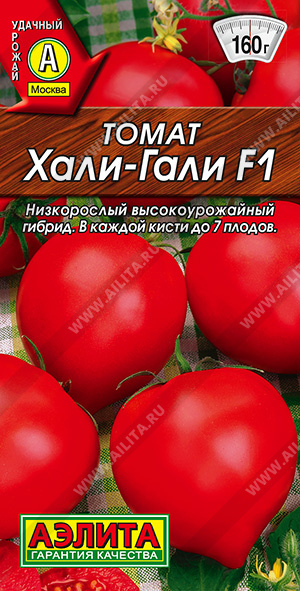  - F1 - 