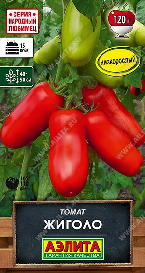 ����� ������ - ����