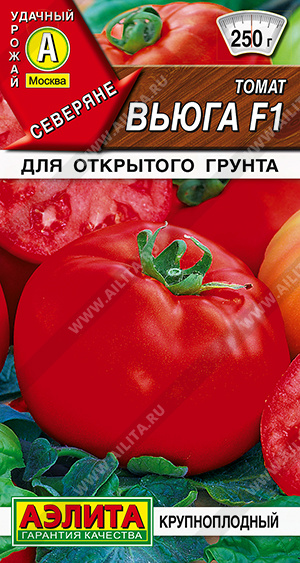   F1 - 