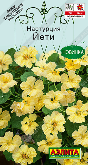 Настурция Йети - фото