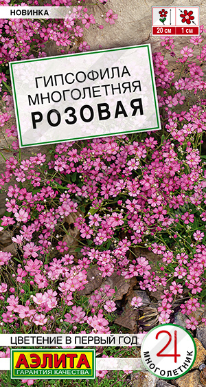 ��������� ����������� ������� - ����