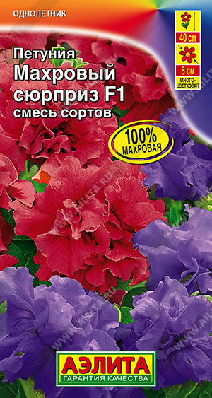 ������� �������� ������� F1, ����� ������ - ����