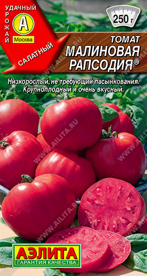 томат малиновая рапсодия