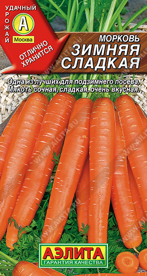 Морковь Зимняя сладкая - фото
