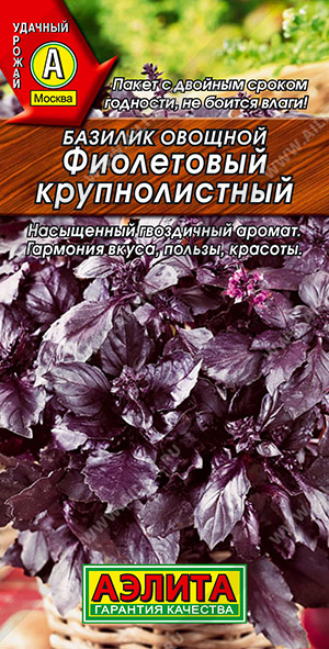 Базилик овощной Фиолетовый крупнолистный - фото