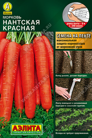 Морковь Нантская красная - фото