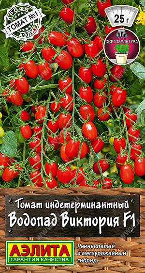 ����� ������� �������� F1 - ����