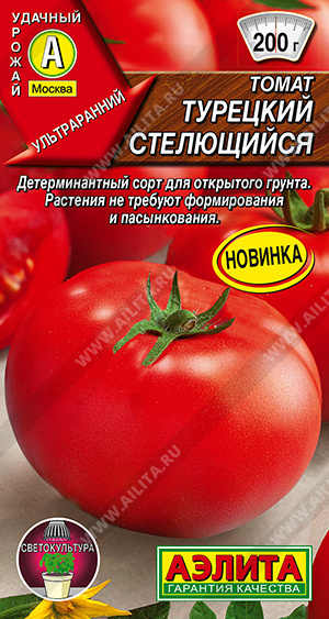 Томат Турецкий стелющийся - фото