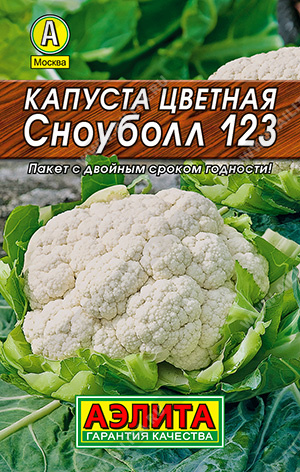    123 - 