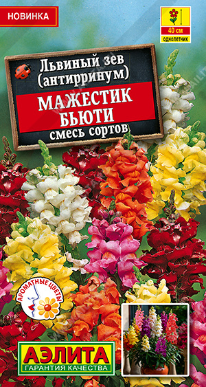 Львиный зев Мажестик бьюти, смесь сортов - фото Львиный зев Мажестик бьюти, смесь сортов - фото