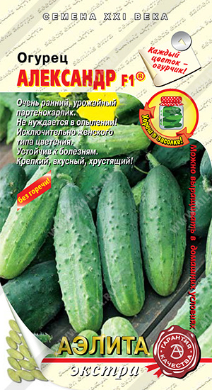 ������ ��������� F1 - ����