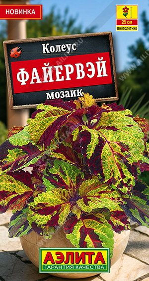 Колеус Файервэй мозаик - фото Колеус Файервэй мозаик - фото