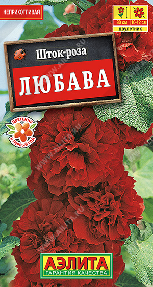 Шток-роза Любава - фото