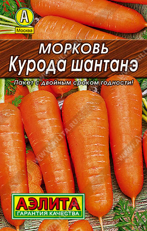 Морковь Курода шантанэ - фото