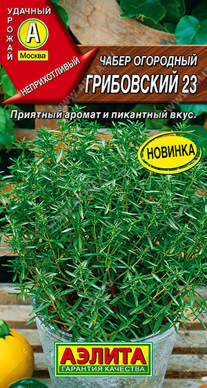    23 - 