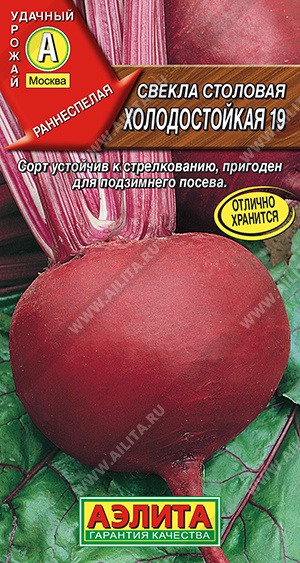    19 - 