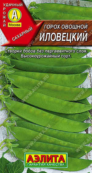 Горох овощной Иловецкий - фото