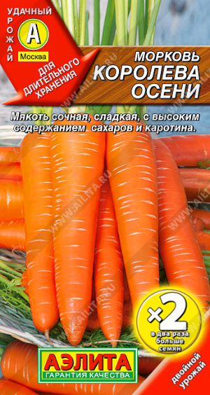 Морковь Королева осени  - фото