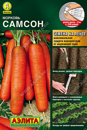 Морковь Самсон - фото