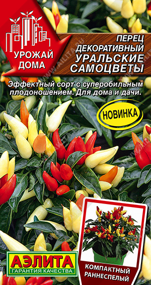 ����� ������������ ��������� ��������� - ����