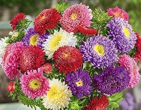 ����� ��������� �������, ����� ������ - ����