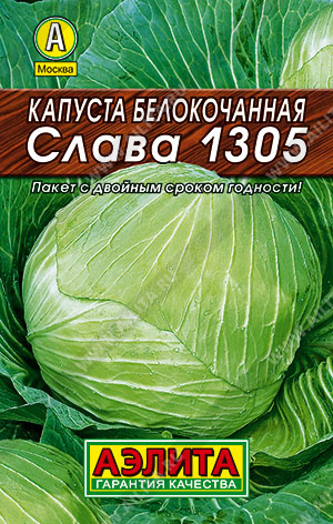 Капуста б/к Слава 1305 - фото
