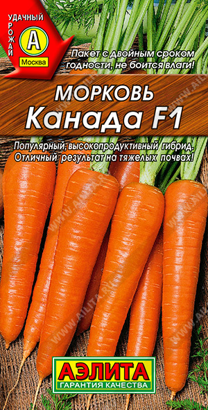   F1 - 