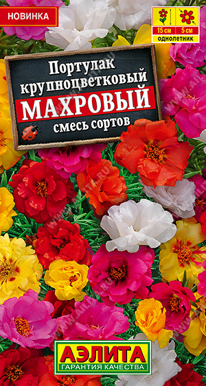 Портулак Крупноцветковый махровый, смесь сортов - фото Портулак Крупноцветковый махровый, смесь сортов - фото