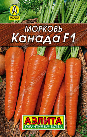   F1 - 
