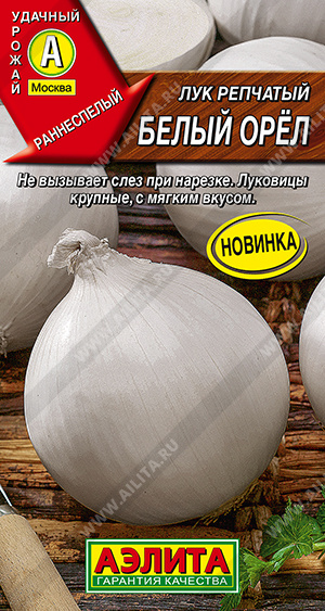 Лук репчатый Белый орёл - фото Лук репчатый Белый орёл - фото