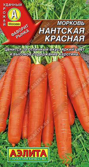 Морковь Нантская красная - фото